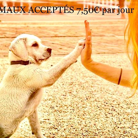 Bungalows En 3Ch 8 Couchages 732 Ou 4Ch En 10 Couchages 828 Ocean Gastes Zewnętrze zdjęcie